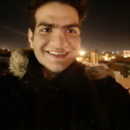 آرین ظروفی
